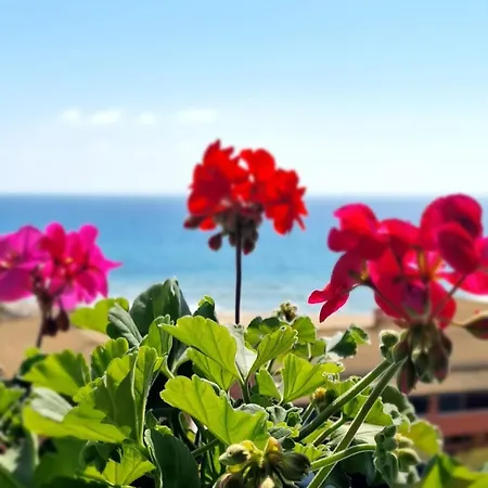 아파트 Glyfada Corfu Sea Blue 137 글리파다