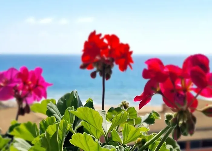 公寓 Corfu Sea Blue 137 格利法达
